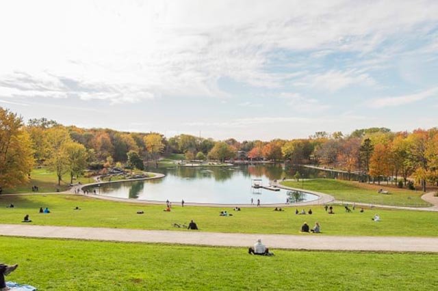 Beaver Lake: A Peaceful Retreat on Mount Royal