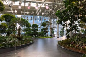 Devonian Gardens: Calgary’s Indoor Urban Oasis