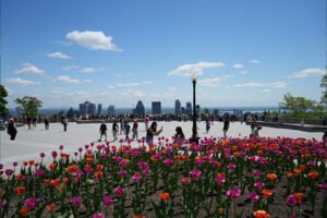 Discovering Mount Royal Park