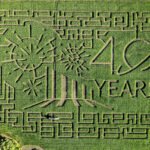 Edmonton Corn Maze: A Fun-Filled Outdoor Adventure for Families