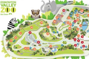 Edmonton Valley Zoo: A Family-Friendly Adventure with Wildlife in Edmonton