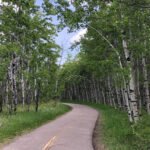 Fish Creek Provincial Park: A Natural Oasis in Calgary’s Urban Landscape