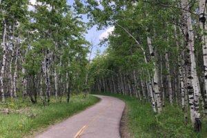 Fish Creek Provincial Park: A Natural Oasis in Calgary’s Urban Landscape