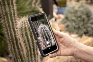 Muttart Conservatory: Edmonton’s Iconic Pyramid Gardens