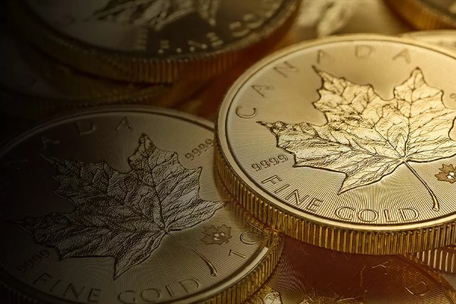 Royal Canadian Mint: A Fascinating Look at Canada’s Coin-Making Heritage