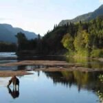 Parc National de la Jacques-Cartier