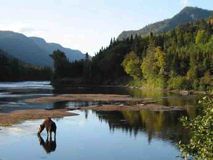 Parc National de la Jacques-Cartier